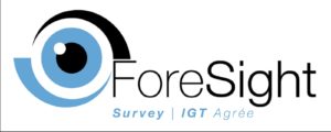 Foresight Survey logo 2